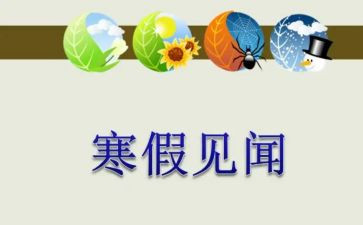 十一见闻作文6篇