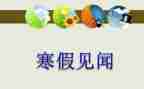 十一见闻作文6篇