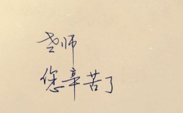 语训教师的心得体会8篇