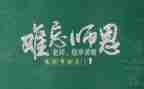 教师节教师活动方案策划最新8篇