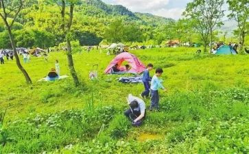 幼儿园《郊游》教案5篇