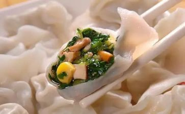 吃饺子的活动策划推荐8篇