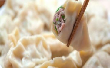 饺子里的爱作文700字7篇