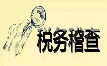 稽查员工作总结5篇