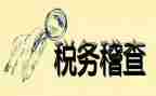 稽查员工作总结5篇