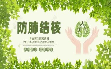 2024年结核病活动总结6篇