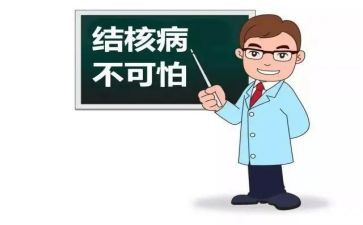 2024年结核病工作总结6篇