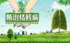 2024年结核病日宣传活动总结7篇