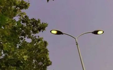 借物喻人的作文精选6篇
