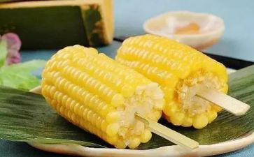 2024年掰玉米作文精选5篇