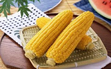 2024年掰玉米作文模板6篇