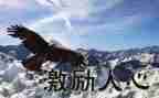 激励军人的演讲稿7篇