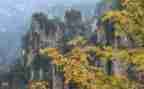 写春景作文5篇