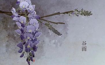 有关24节气的作文7篇