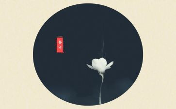 24节气活动总结推荐7篇