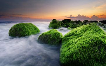 写秋天的景色作文300字模板7篇