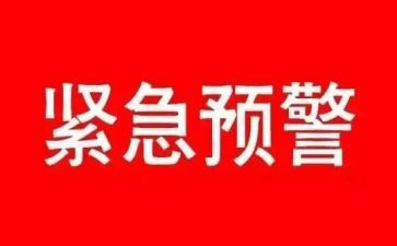 紧急辞职信范文8篇