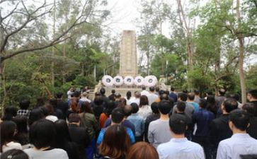 清明节活动祭扫活动策划8篇