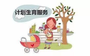 计生协会计划工作计划6篇