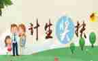 2024年计生半年工作总结8篇