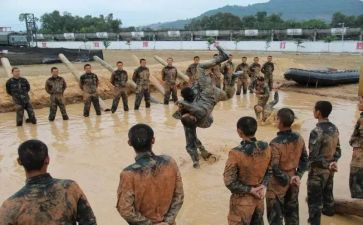 机训大队工作总结最新5篇