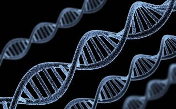传承红色基因学生心得体会5篇