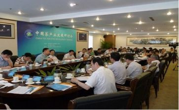2024副局长述职报告推荐5篇