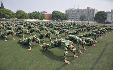 军训作文500字7篇