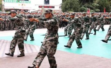 军训12天心得参考5篇