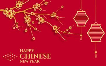 信息公开年度工作报告7篇