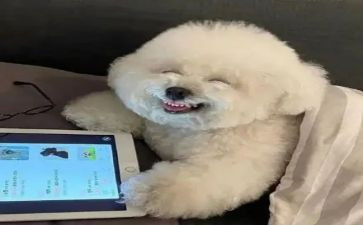 我真的太开心了作文6篇