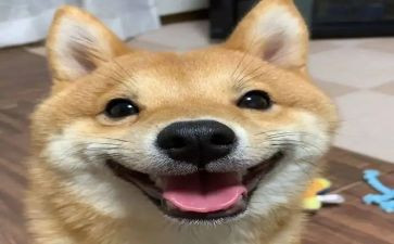 打开心门作文600字推荐6篇