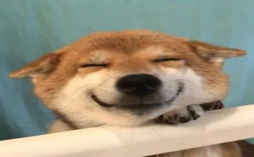 开心理班会心得体会通用8篇