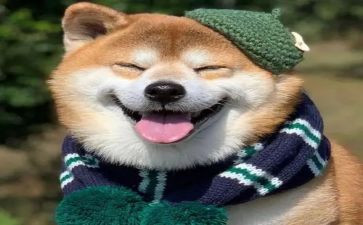 端午节真开心作文优秀8篇