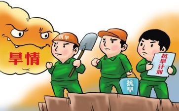 村防汛抗旱工作总结精选6篇