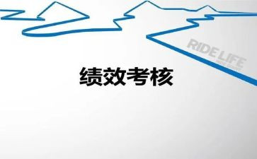 公司个人考核年度总结7篇