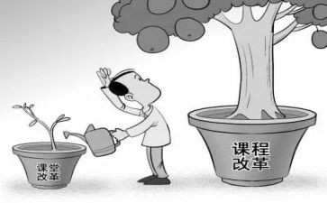 数学课改心得体会精选8篇