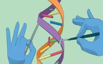 小学科学实验教学总结6篇