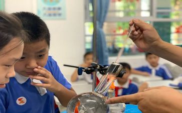 科学课《鱼》心得体会8篇