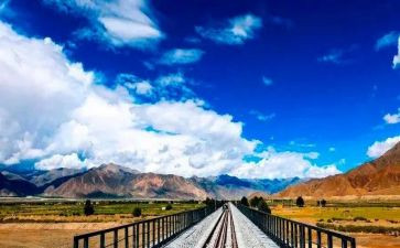 文化的苦旅读后感最新5篇