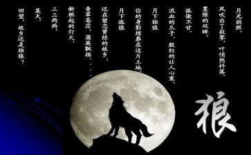 狼王梦的,读后感模板8篇