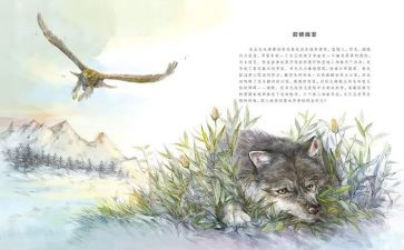 狼王梦的,读后感优质5篇