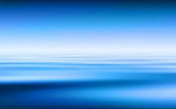 蓝色海豚鸟读后感7篇