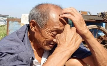 老人活动方案策划8篇