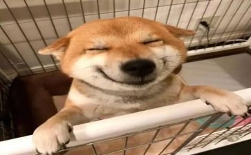 音乐教师个人总结年度个人总结精选8篇