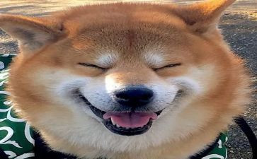 欢乐周活动策划8篇