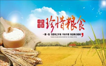 粮食节演讲稿模板6篇
