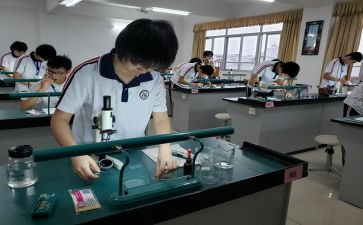 理化员工作计划参考7篇
