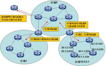 从理论到实践心得体会8篇