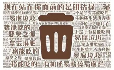 捡垃圾的事作文模板7篇
